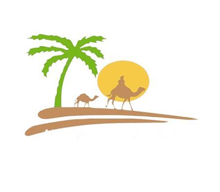 logo nomad blanc